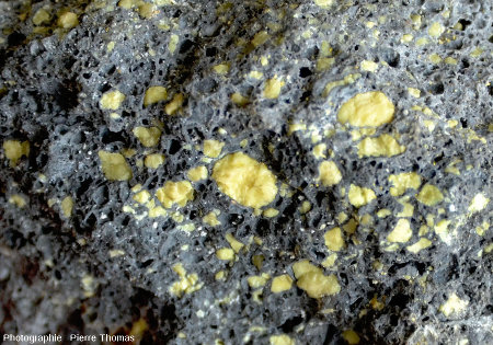 Zoom sur un échantillon de roche volcanique vacuolaire dont les cavités sont remplies de soufre, Ravin de la Craie au pied du Puy de Sancy (Puy de Dôme)