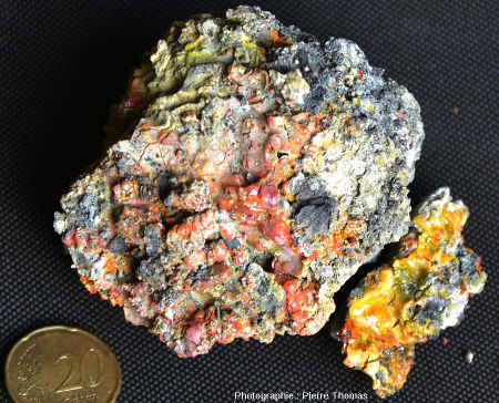 Échantillon de sédiments carbonifères présentant à sa surface du réalgar rouge (As4S4) et de l'orpiment jaune (As2S3), la Ricamarie (Loire)