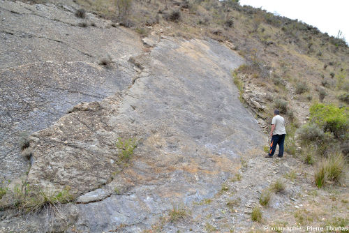 Cette même dalle à piste de dinosaure, second site de La Rioja (Espagne), un jour sans soleil