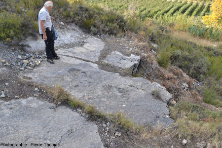 Autre piste de sauropode ce même secteur de La Rioja (Espagne)