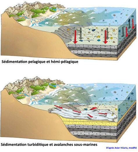 Schémas très théoriques montrant le contexte morphologique de la sédimentation pélagique (en haut) et turbiditique (en bas) dans le bassin des flyschs basque