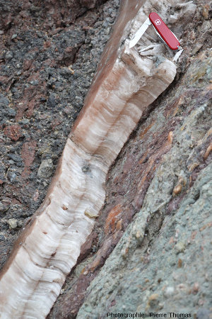 Filon de gypse fibreux recoupant des brèches argilo-gypseuses, Bidart, Pyrénées Atlantiques