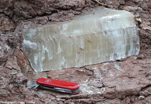 Bloc d'un filon de gypse disloqué dans un compartiment très riche en argile du Trias gypsifère de Bidart, Pyrénées Atlantiques
