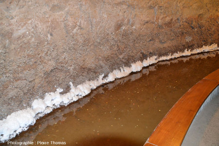 Dépôts de sels cristallisant en bordure d'un bassin de rétention, mines de Bex (canton de Vaud, Suisse)