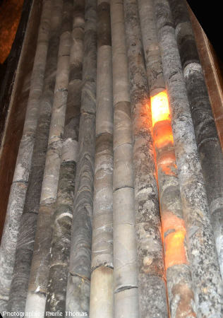 Détail d'une partie des 11 carottes de la figure précédente, mines de Bex (canton de Vaud, Suisse)