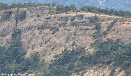 Détail de la face Est de la Serre d'Autruy (Hautes Alpes), depuis le lieu-dit La Baume