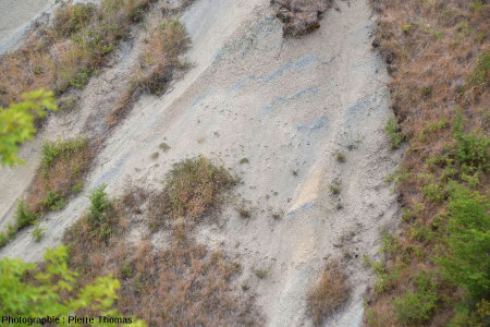Une piste animale (renard ?) traversant une pente argileuse très raide dans le ravin de Corbœuf