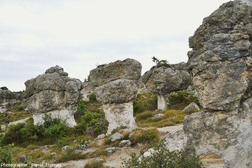 Autres rocher en forme de champignon dans le secteur des Mourres, Forcalquier (Alpes de Haute Provence)