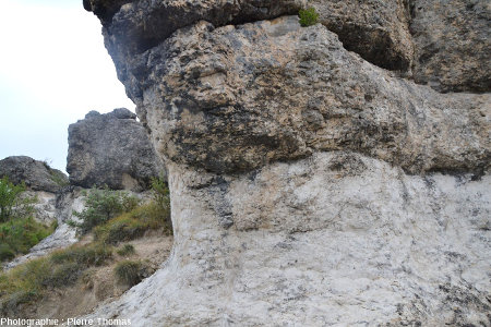 Base d'une masse calcaire chapeautant les rochers des Mourres, Forcalquier (Alpes de Haute Provence)