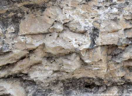 Zoom sur la base d'une masse calcaire chapeautant les rochers des Mourres