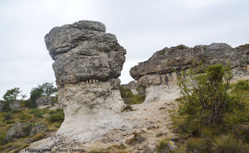 Un promeneur facétieux a rajouté quelques cailloux dans une cavité située à la limite calcaire dur / calcaire marneux, faisant ainsi "sourire" l'un des rochers des Mourres