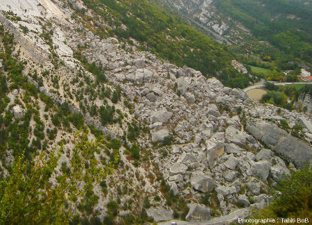 Détail de la masse des éboulis du Claps vue depuis la barre tithonique située sur la rive droite (à l'Ouest) de la Drôme