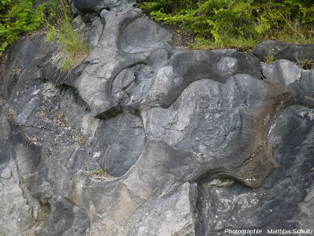 Vue plus rapprochée de quelques paléomarmites de géant de Pointe-au-Pic, Québec