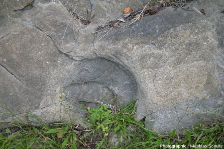 Détails de paléomarmites de géant de Pointe-au-Pic, Québec