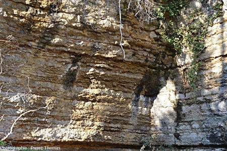 Vue d'en bas d'une carrière de calcaire à gryphées non remblayée, vue depuis le chemin des Gorges, Saint-Fortunat