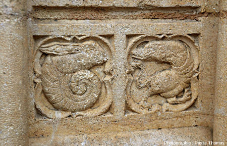 Double médaillon montrant, à gauche, l'ammonite à tête de lapin et, à droite, un autre animal difficilement classable, cathédrale Saint-jean de Lyon
