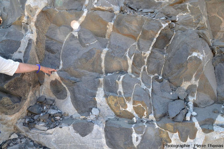 Exemple des relations géométriques granite-gabbro là où le granite est très minoritaire et forme des liserés courbes englobant des masses de gabbro sans limites anguleuses aigües