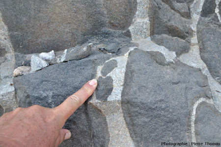Exemple des relations géométriques granite-gabbro là où le granite est très minoritaire et forme des liserés courbes englobant des masses de gabbro sans limites anguleuses aigües