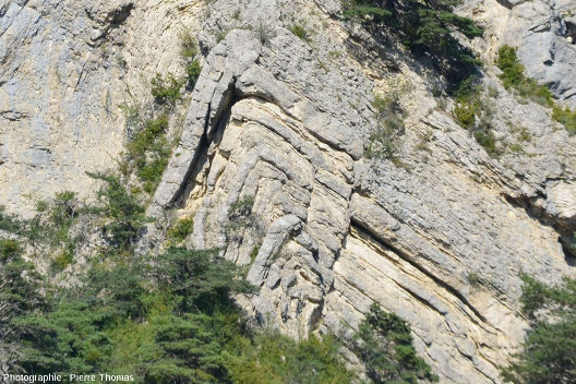 Zoom sur le cœur disharmonique de cet anticlinal affectant des calcaires du Jurassique supérieur, Saint-Julien-en-Beauchêne, Hautes Alpes
