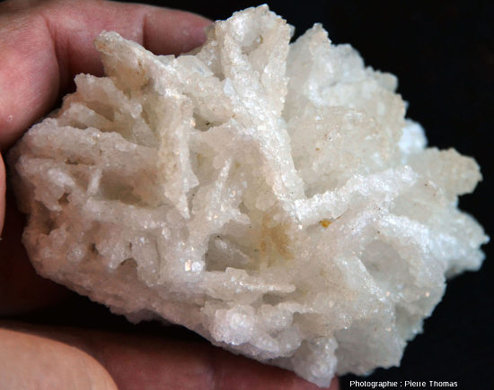 Échantillon de barytine crêtée dont tous les cristaux sont recouverts de quartz