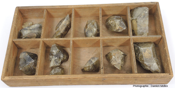 Boite "travaux pratiques de minéralogie" de cristaux de barytine auvergnate provenant d’une ancienne collection universitaire