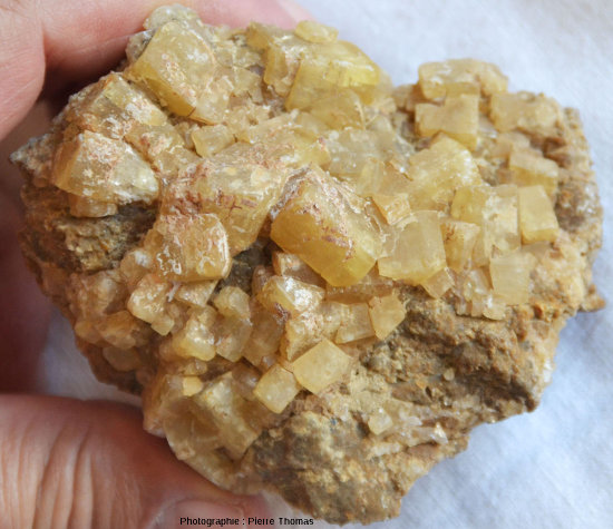 Petits cristaux automorphes de barytine jaune clair regroupés à la surface de mini filons de quartz, gisement de la vallée de Sans-Souci, Chatel Guyon, Puy de Dôme