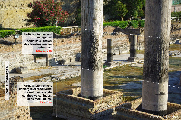 Interprétation des perforations affectant les colonnes du « temple de Sérapis », Pouzzoles, Italie