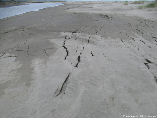 Fractures sur la pente Est du cordon littoral vues en direction de l'amont, plage de Cucao (ile de Chiloé, Chili)