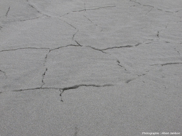 Au centre du cordon littoral, les fractures sont parfois orientées dans plusieurs directions, suggérant une extension multidirectionnelle, plage de Cucao (ile de Chiloé, Chili)