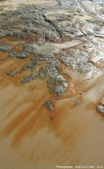La tourbe des paléosols est souvent plus résistante à l'érosion marine que le sable des plages et des dunes