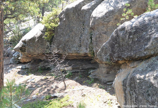 Détail sur le contact granite/micaschistes, quelque part le long du Presidential Trail, Mont Rushmore (USA)