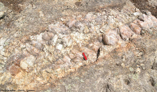 Détail sur un filon de pegmatite recoupant le granite sur le bord du Presidential trail, Mont Rushmore (USA)