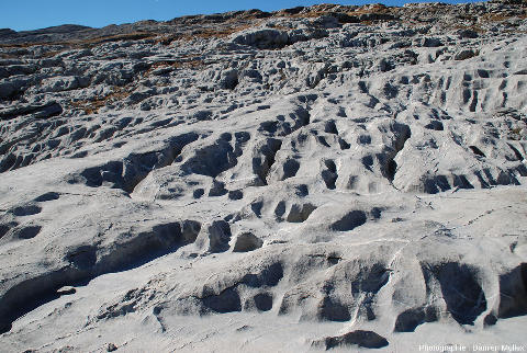 Surface calcaire parsemée de micro-dépressions, Désert de Platé