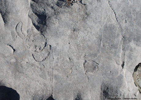 Zooms sur des restes fossiles difficiles à identifier à cette échelle