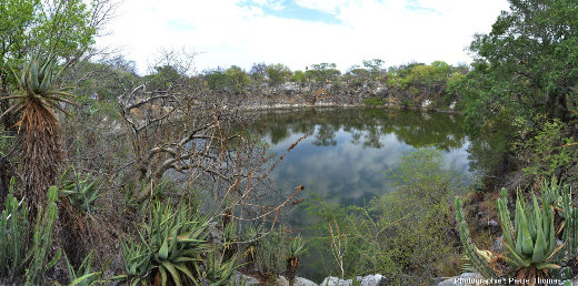 Le lac Otjikoto (Namibie) entouré d'une belle végétation tropicale