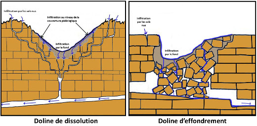 Schémas montrant les deux mécanismes de formation des dolines : dissolution et effondrement