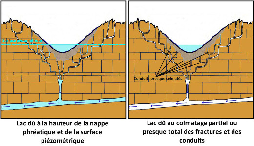 Schémas montrant les deux cas de formation d'un lac remplissant une dépression karstique : fond sous le niveau de la nappe ou fond colmaté