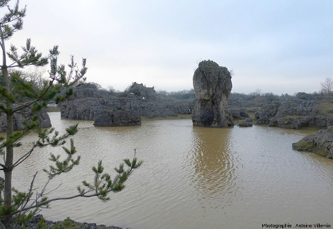 Un pinacle dolomitique de l'extrémité Nord-Ouest du lac temporaire des Rives, décembre 2014