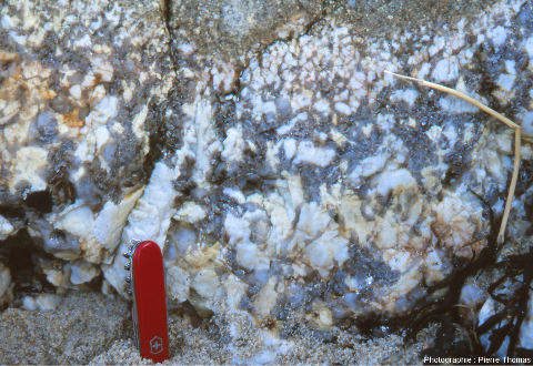 Détail sur un filon de pegmatite, rochers de Toul al Nouch, Plougoulm, Finistère