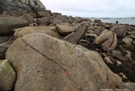 Filon de pegmatite extrêmement étroit recoupant un granite, environs de Roscoff, Finistère