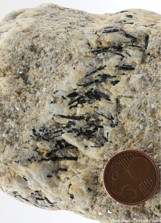 Galet de leucogranite échantillonné sur une plage de Roscoff et traversé par un filon de pegmatite à tourmaline, détail