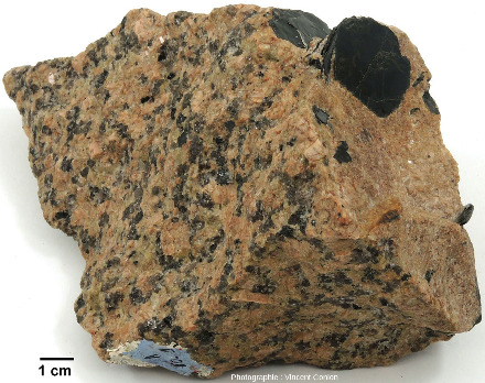 Échantillon montrant à gauche un granite (rose) avec une structure classique, et à droite une partie d'un filon d'aplite contenant des cristaux “géants” de biotite
