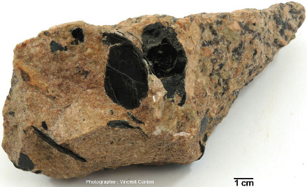 Même échantillon que la figure précédente montrant à droite un granite (rose) avec une structure classique, et à gauche une partie d'un filon d'aplite contenant des cristaux “géants” de biotite