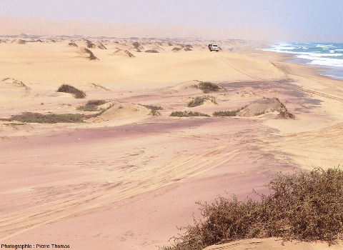 Arrière-plage très riche en sable de grenat, côte de Namibie, à une trentaine de kilomètres au Sud de Walvis Bay