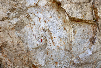 Zoom arrière sur les grenats automorphes dans un gneiss leptynitique en “enclave” dans le granite du Velay