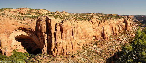 Vue globale de la falaise Nord (rive gauche) de la vallée de Betatakin (Arizona)