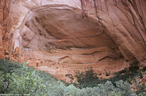 Vue d'ensemble sur la grande alcôve de Betatakin constituant un gigantesque abri sous roche, dans lequel vivaient des amérindiens vers le XIIIème siècle