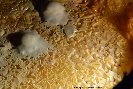 Zoom sur des dépôts stalagmitiques ayant poussé sur les triangles de calcite, postérieurement à l'assèchement du micro-lac