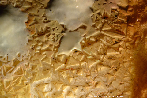 Gros plans sur des dépôts stalagmitiques ayant poussé sur les triangles de calcite, postérieurement à l'assèchement du micro-lac