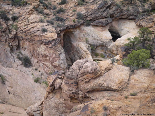 Marmites de géant (potholes) creusées dans les grès Navajo du Parc national de Capitol Reef, Utah (secteur de Capitol Gorge)